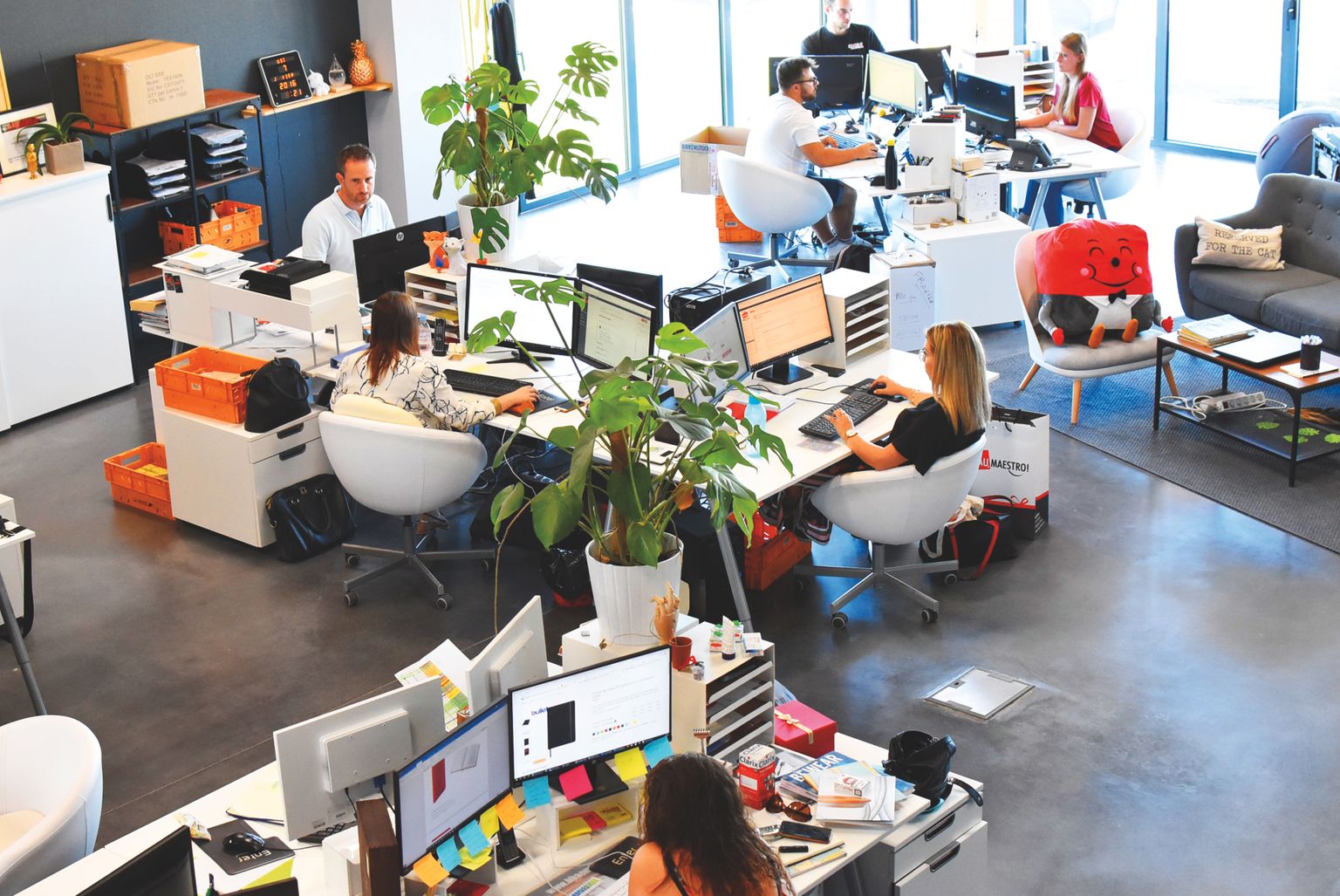 un moderno ufficio dove gli impiegati usano l'intranet aziendale